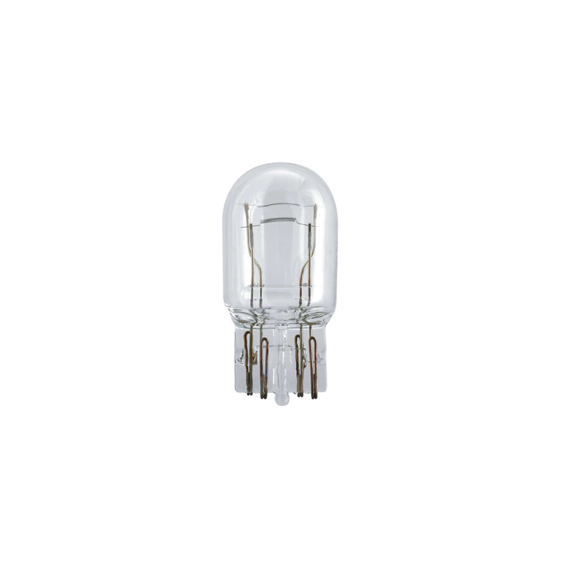 12066 LAMPARA SEÑALIZACION 12V W21/5W 12066 12V        CP