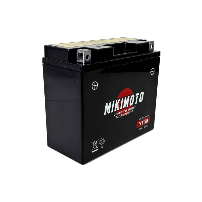 YT12B BATERIA DE MOTO YT12B-BS YAMAHA FAZER 600 TDM900 DRAGSTAR 12V10AH
